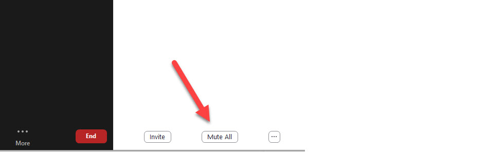 Screen clipping of the Participants area of the Zoom meeting. An arrow is pointing at the Mute All button found in the lower right portion of that interface.