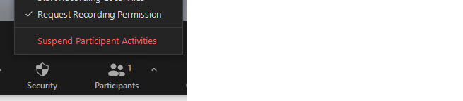 The Zoom Security menu toggled, with Suspend Participant Activities shown as an item on that menu.