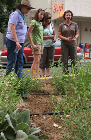 Leslie Allen, far right, leads volunteers in creating an edible median on West Street in Downtown Reno. Photo by Jean Dixon.