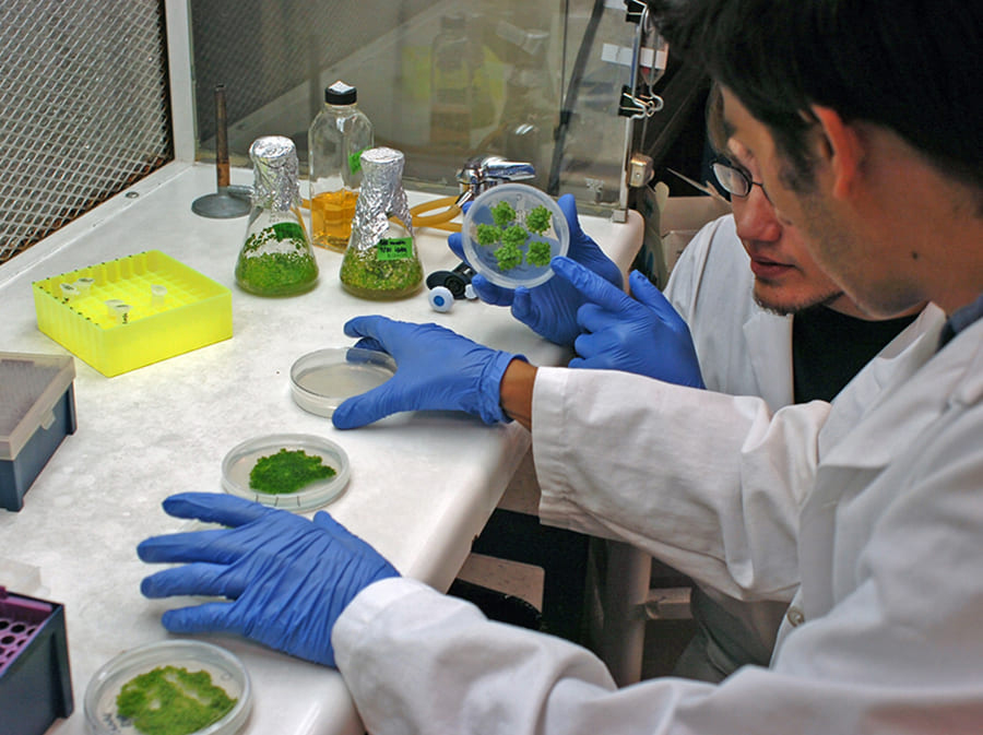 students sampling duckweed