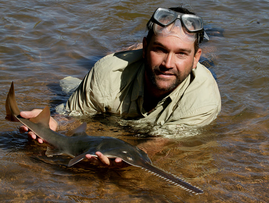 hogan with baby sawfish