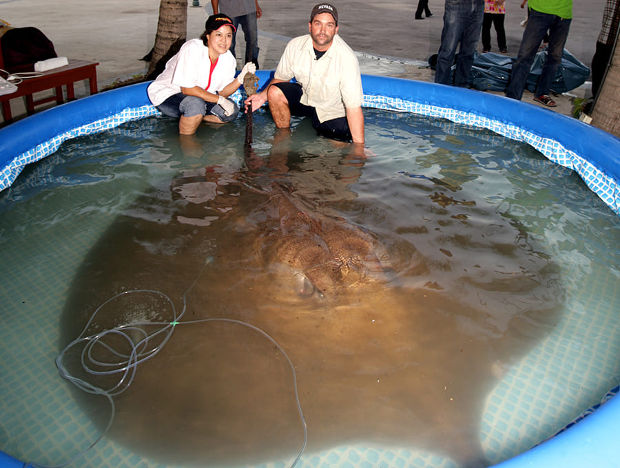 Zeb with giant stingray