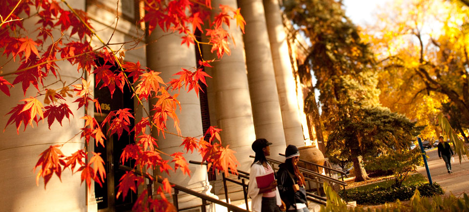 Fall colors on campus