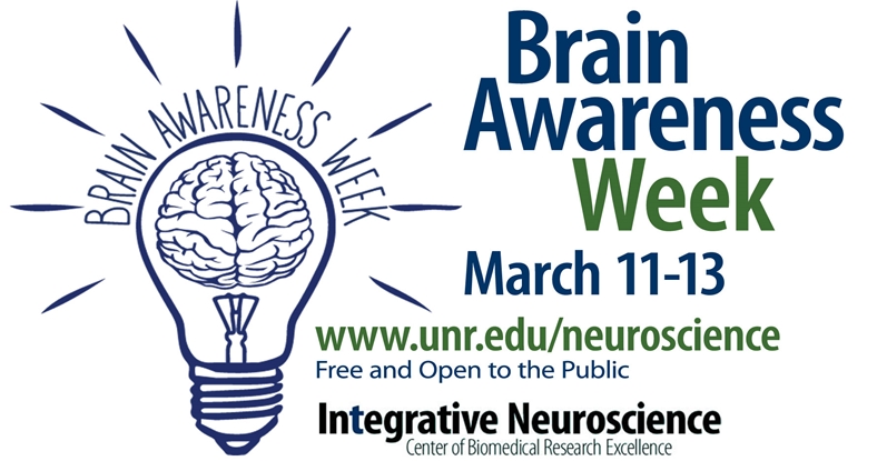 Brain awareness photo