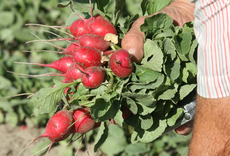 There will be a Good Agricultural Practices training Jan. 30 and 31 in Reno.