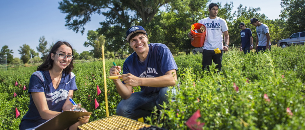 Students in Nevada wear working in a garden