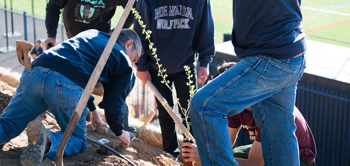 Arbor Day 2015
