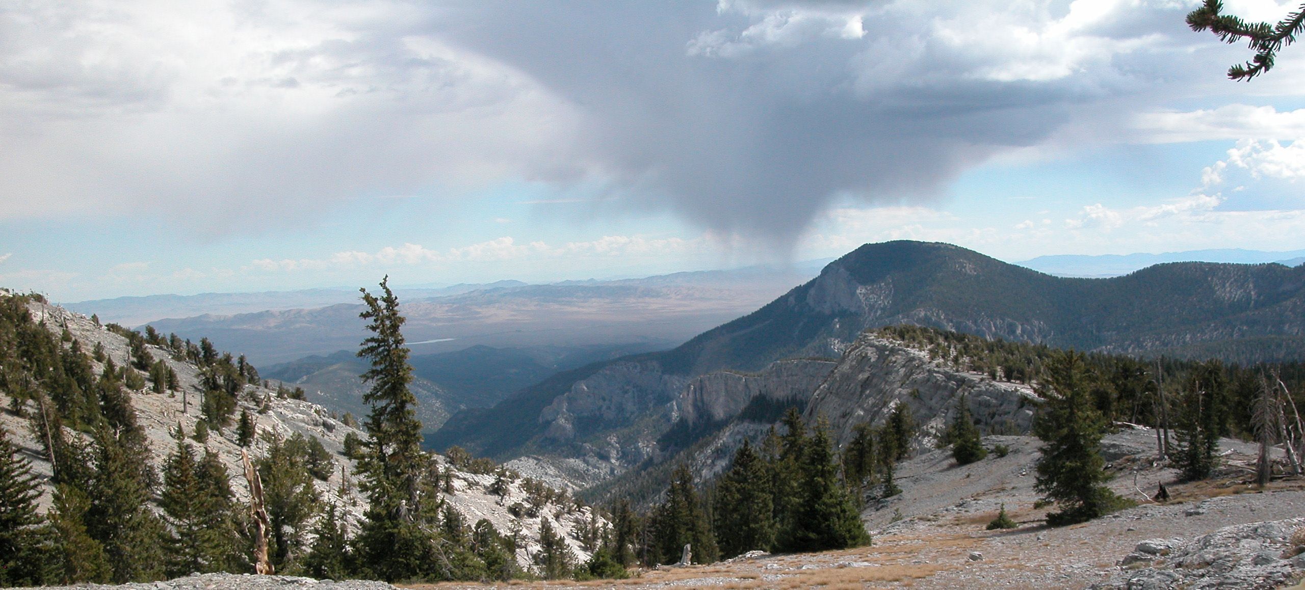 Great Basin view