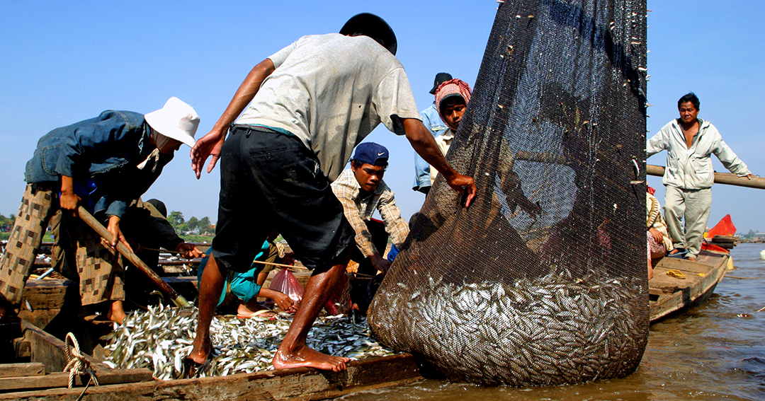 Unloading a dai net on Tonle River