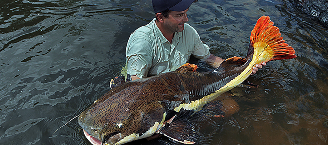 Zeb Hogan with Monster Fish