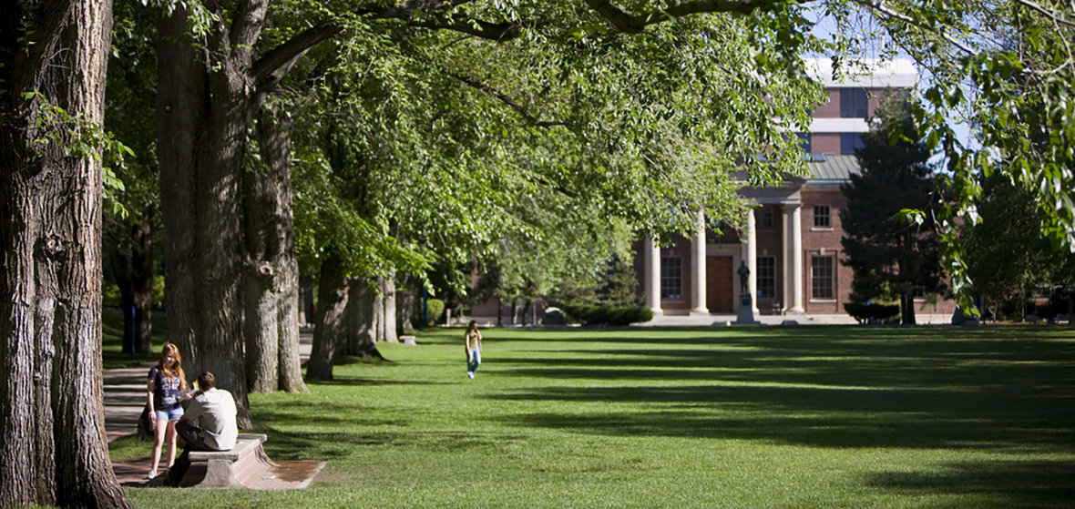 The University's historic Quadrangle with green grass and a few students walking across it