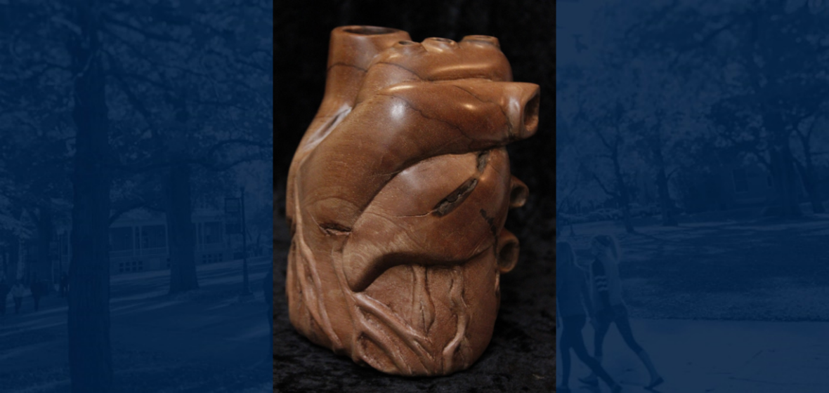 Heart Artwork of Medical Students at the University of Nevada, Reno. 