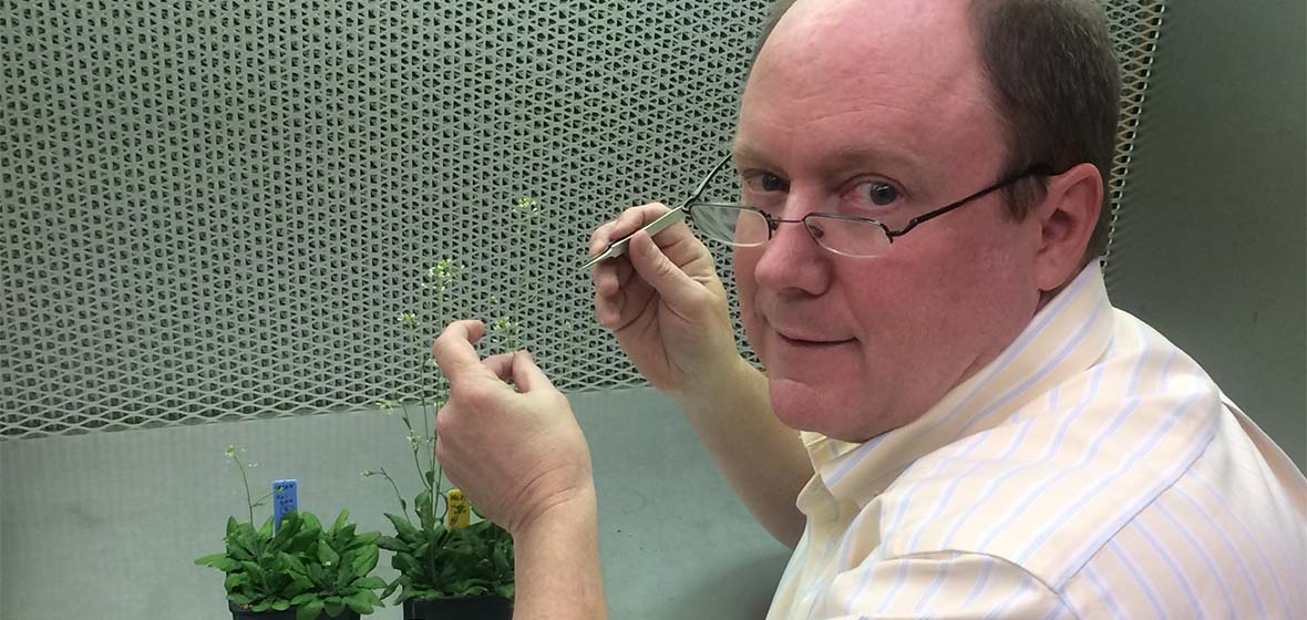 Jeffrey Harper in the lab working with plants