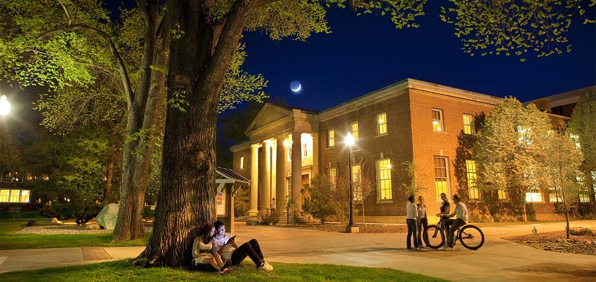 Students studying on the Quad on a warm summer evening