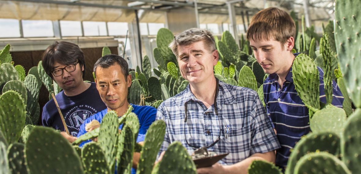 John Cushman is shown with members of his research working in the University's Greenhouse Complex.