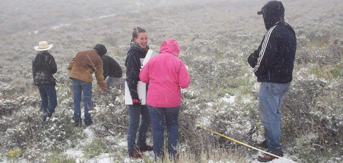 High school students looking at sagebrush during a snowfall in June