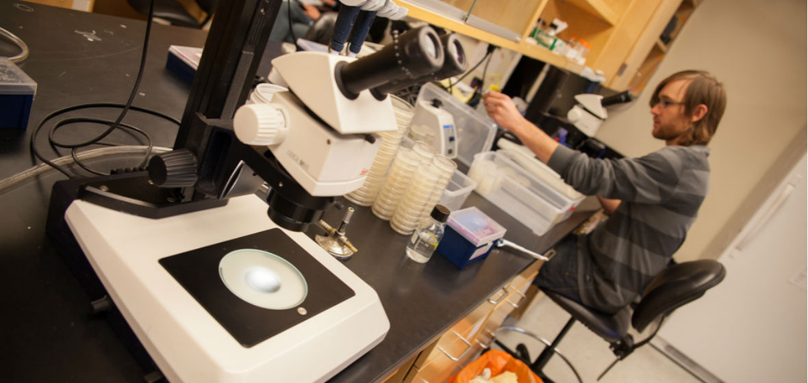 Student working in a CABNR lab