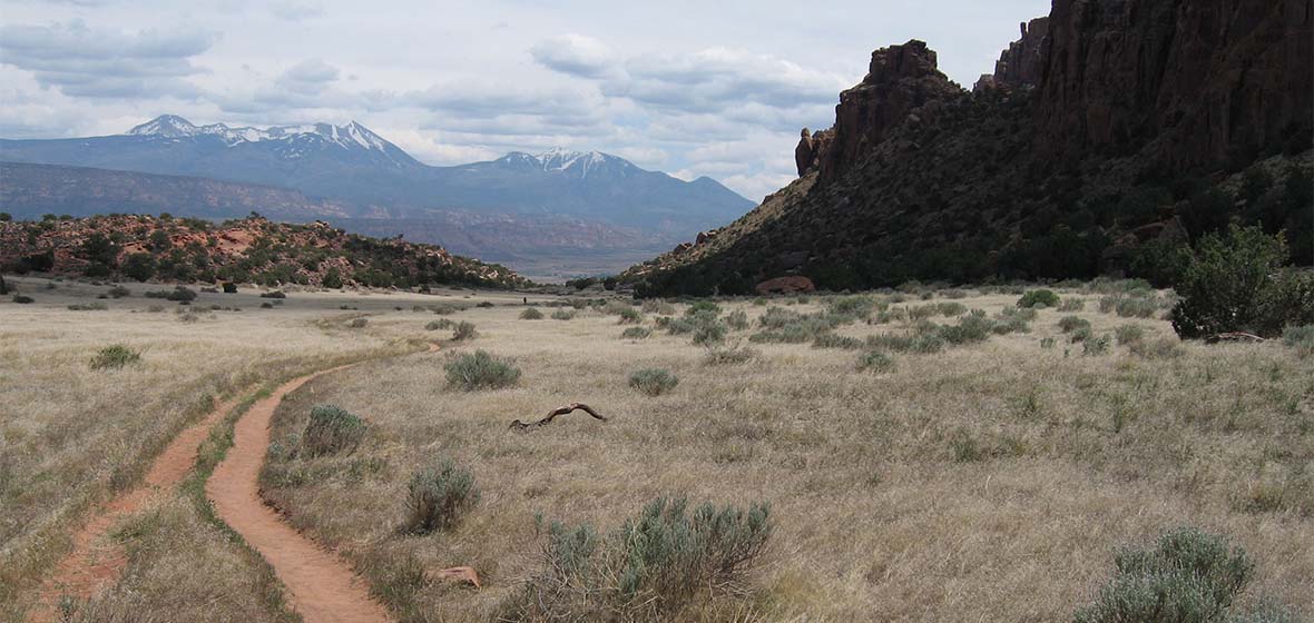 Rural Nevada dirt road 
