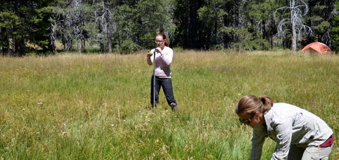 Researchers in a grassy field