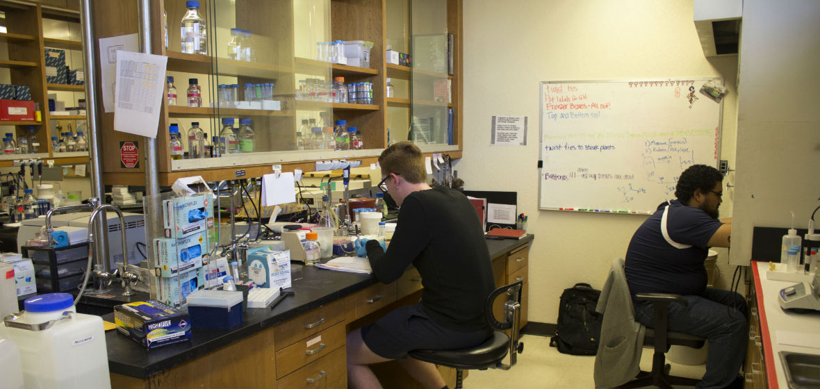 Students in Wallace's lab