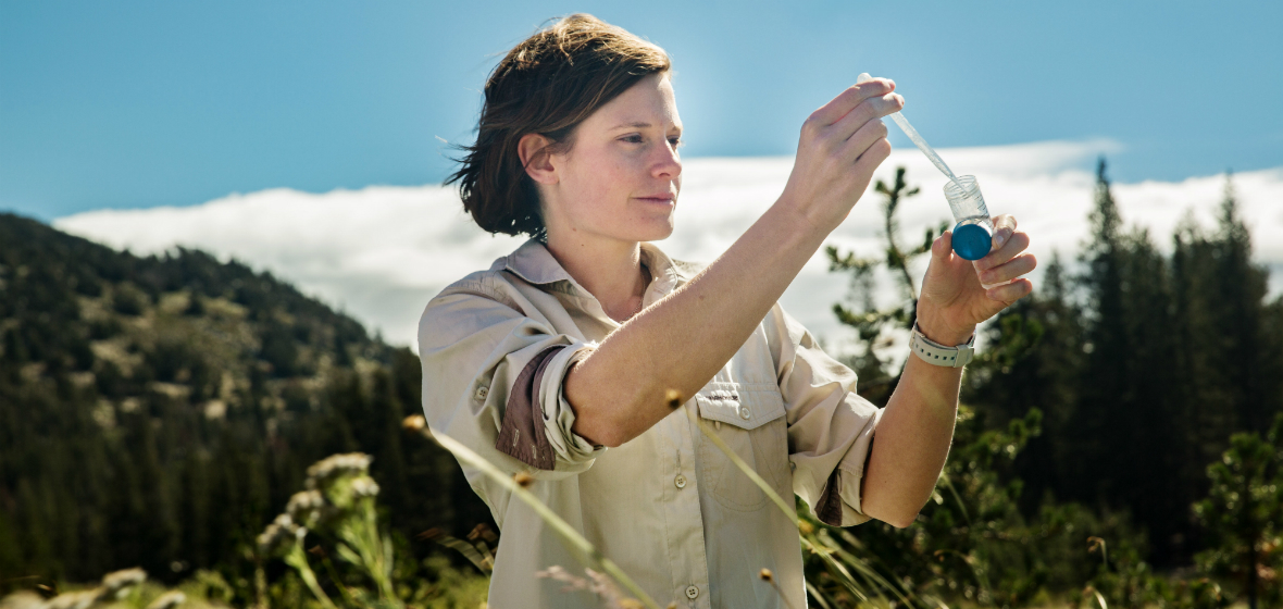 Felicity Muth examines samples in the field