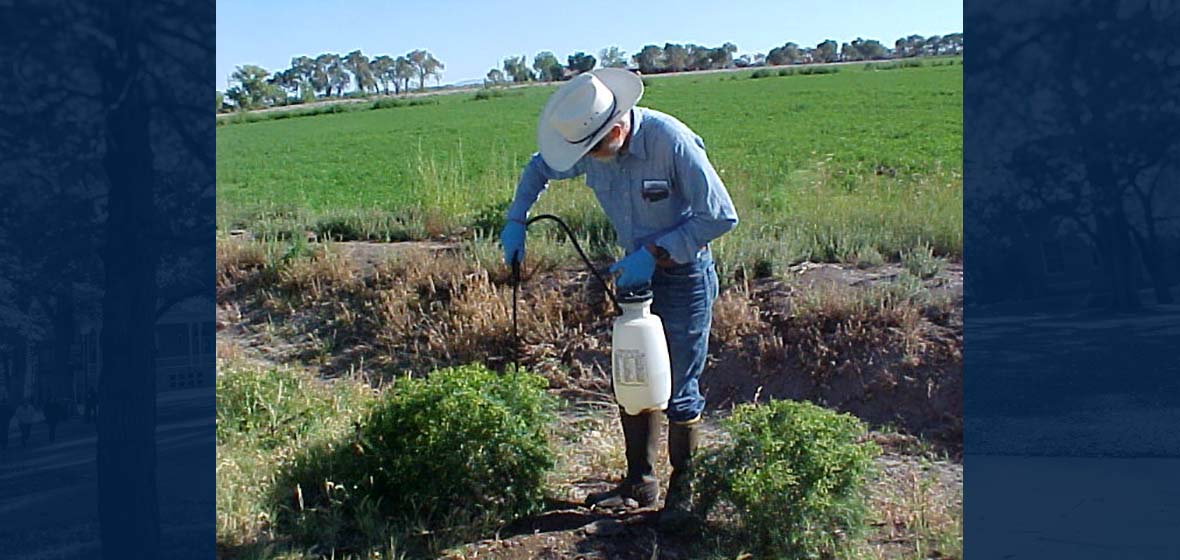 A man safely applying pesticide 