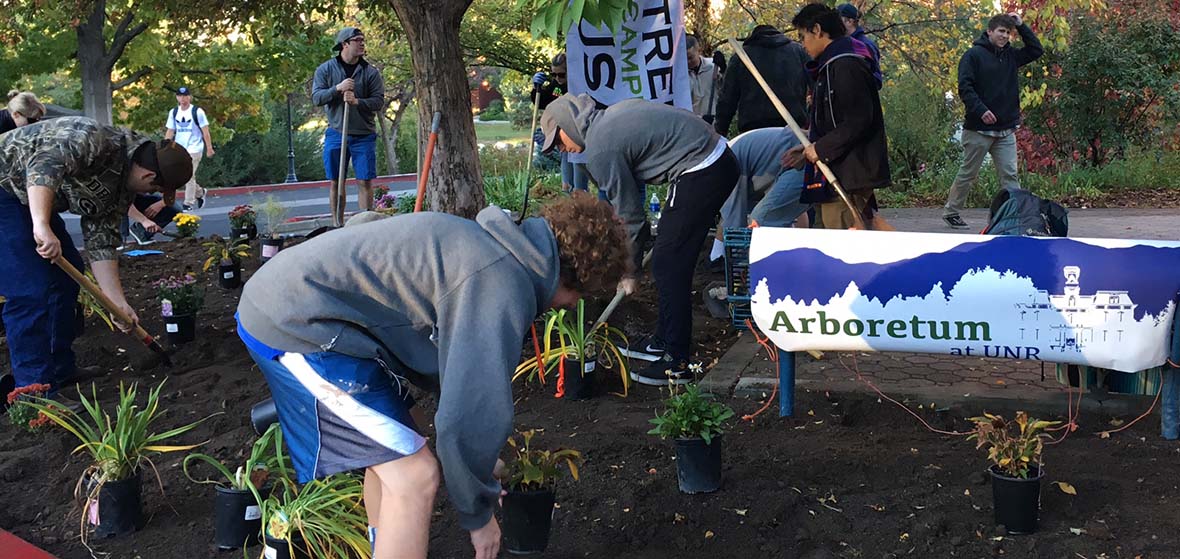 Students planting trees and shrubs on campus for Nevada Shade Tree Week