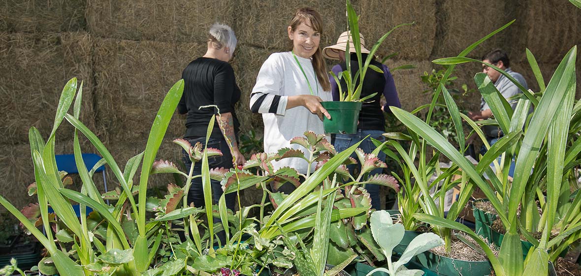 A woman buys a plant at Nevada Field Day.