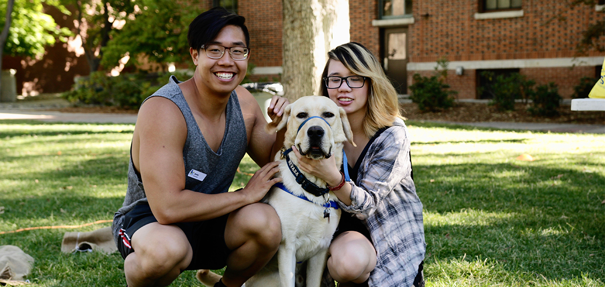 Canine Combanion dog with University students