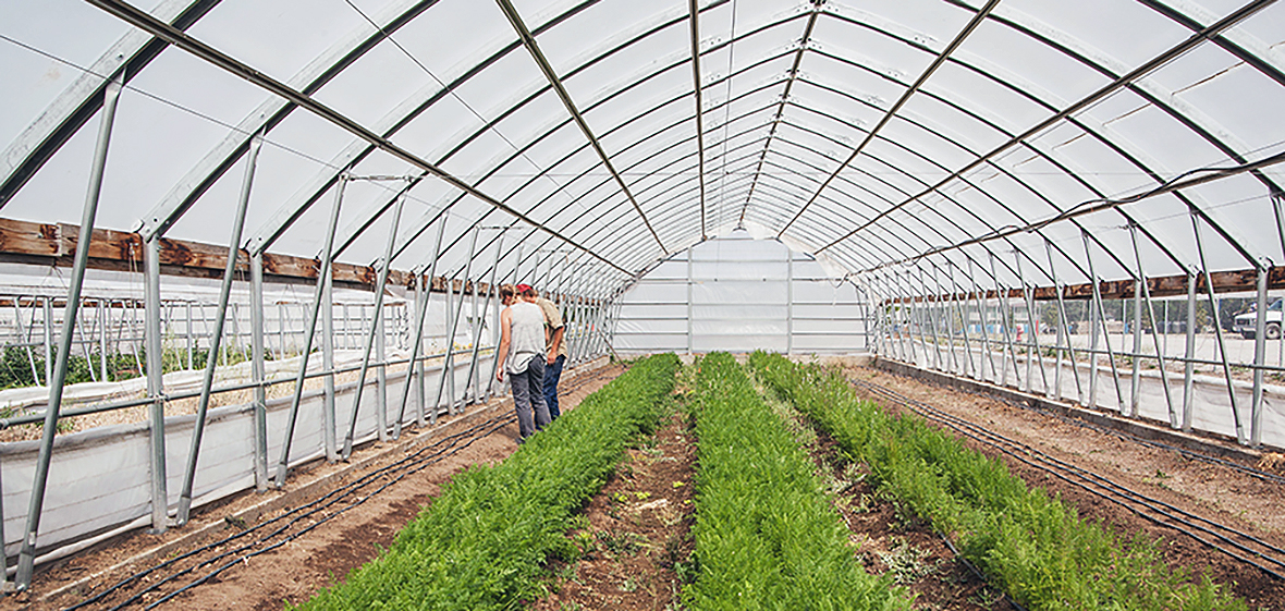 Hoop House at Desert Farming Initiative