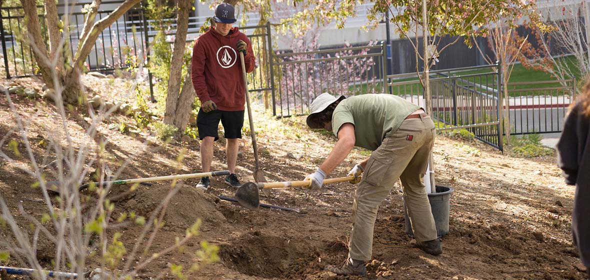 Two volunteers planting trees