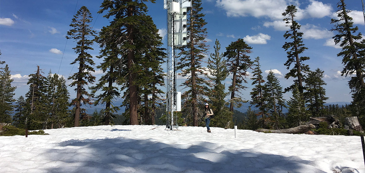 Rose Petersky standing in the snow surrounded by pine trees