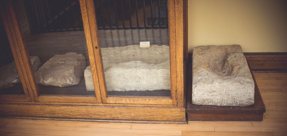 Giant sloth track fossils on display