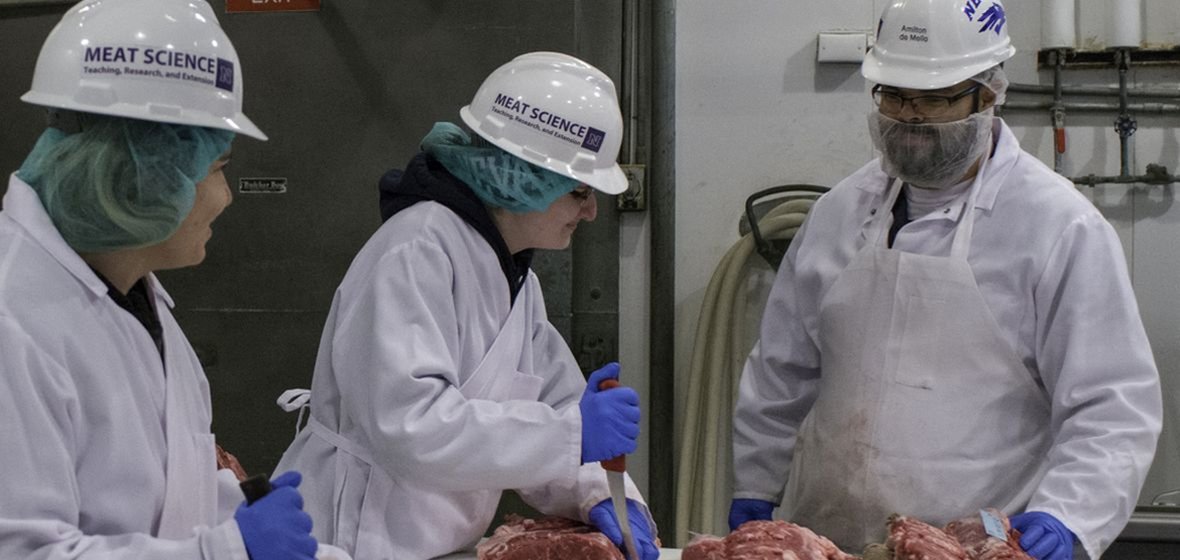 Three people dressed in protective hard hats and lab coats are cutting meat in the meat-production lab