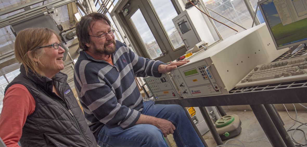 Researchers Mae Gustin and Grant Edwards work on a computer in a green-house.