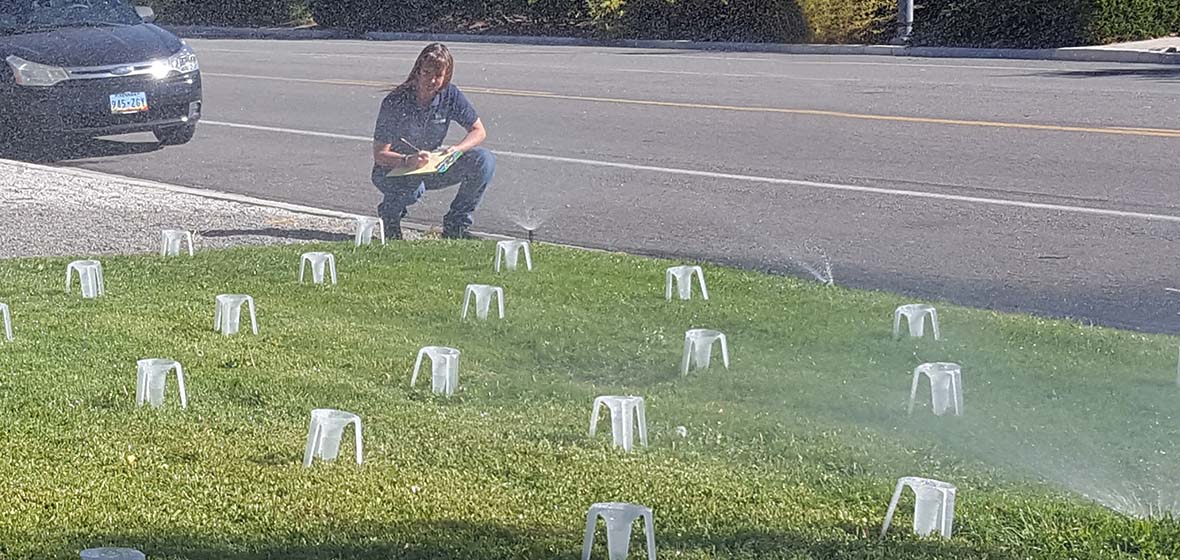 special plastic cups in grass catch water from sprinkers while kneeling woman takes measurements"