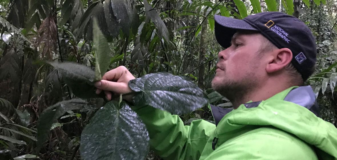 Researcher in jungle