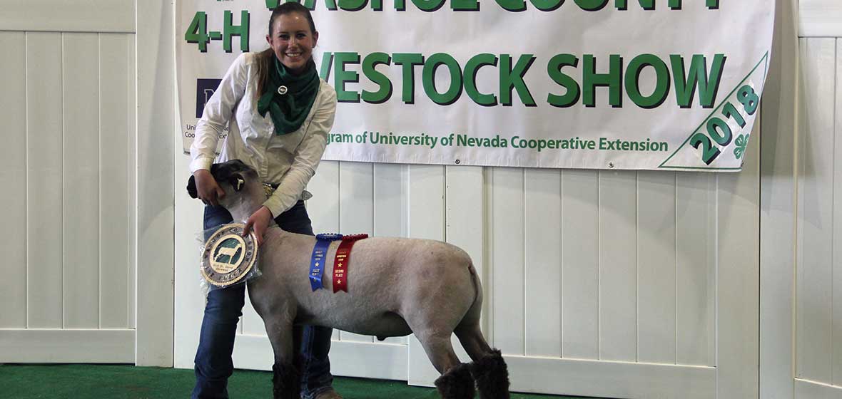 girl wearing green 4H scarf poses with sheep, blue ribbon, red ribbon and plaque