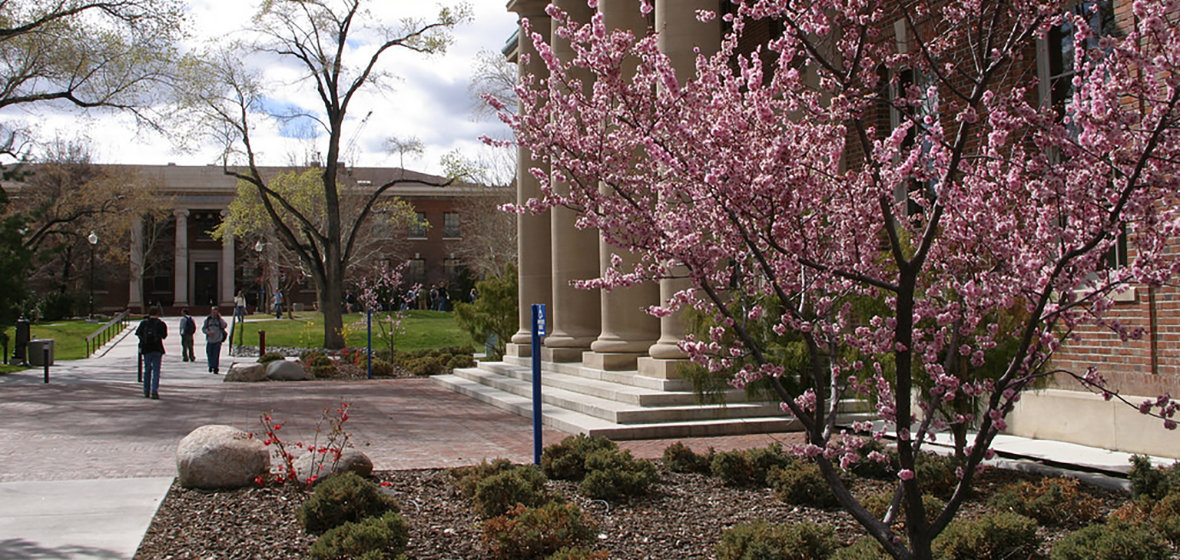 Trees bloom during spring on the University of Nevada, Reno campus