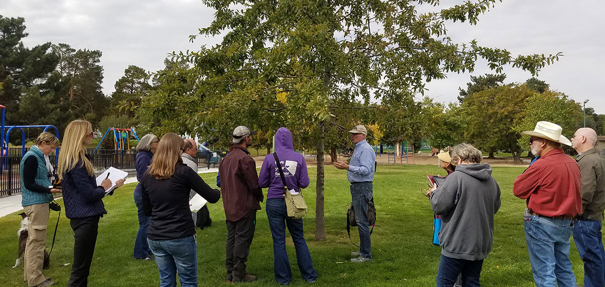 Rod Haulenbeek points out parts of a tree to a group