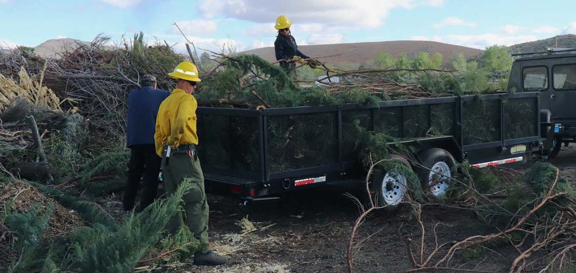 men with safety hats loading woody vegetation into a flatbed trailer