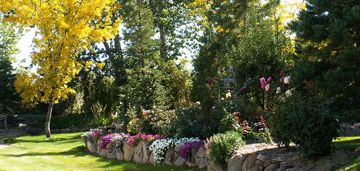 trees, flowers and a lawn