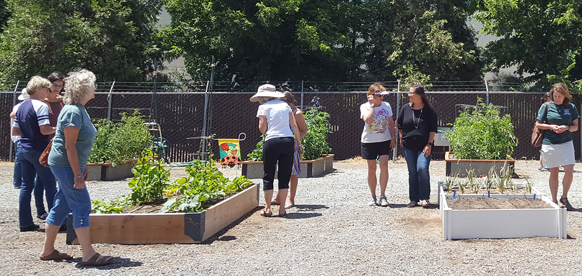 people inspecting raised garden beds