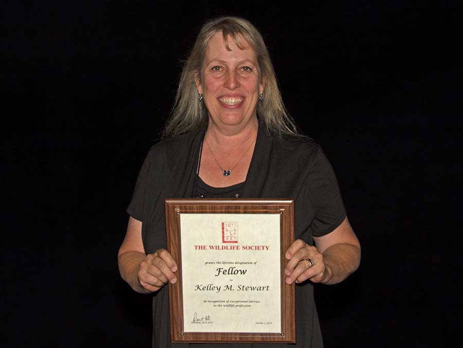 Kelley Stewart holding up award certificate 