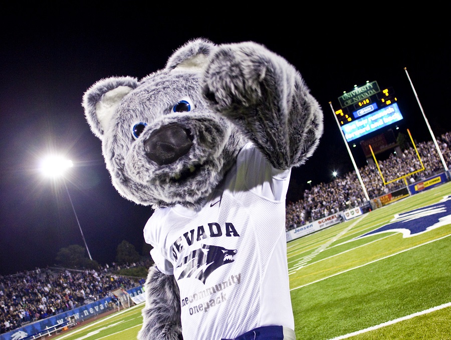 Wolfie mascot pointing at the camera while on the football field at night