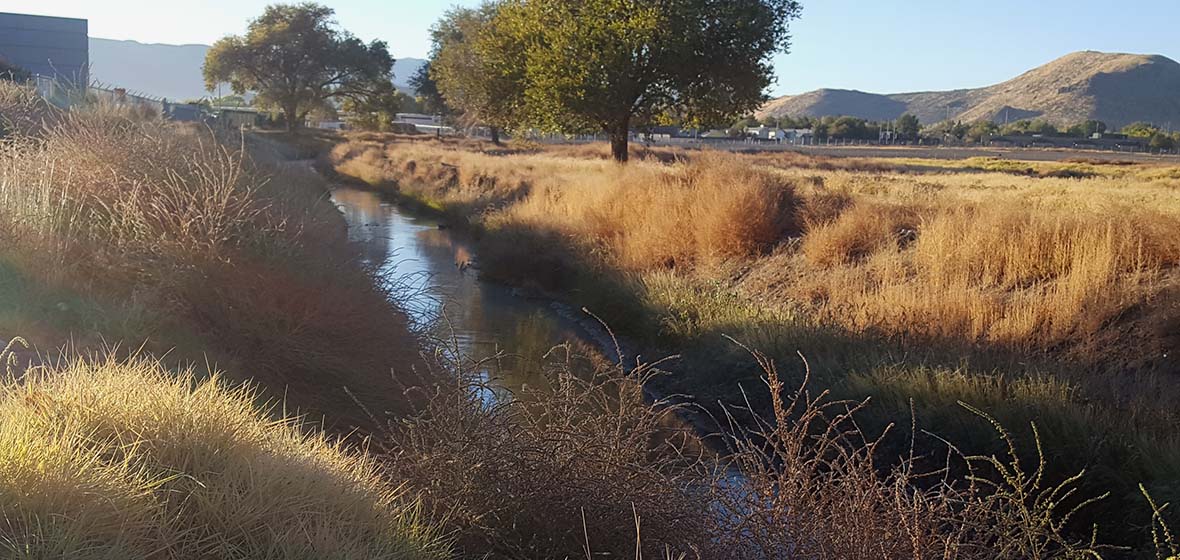 water flowing by a field