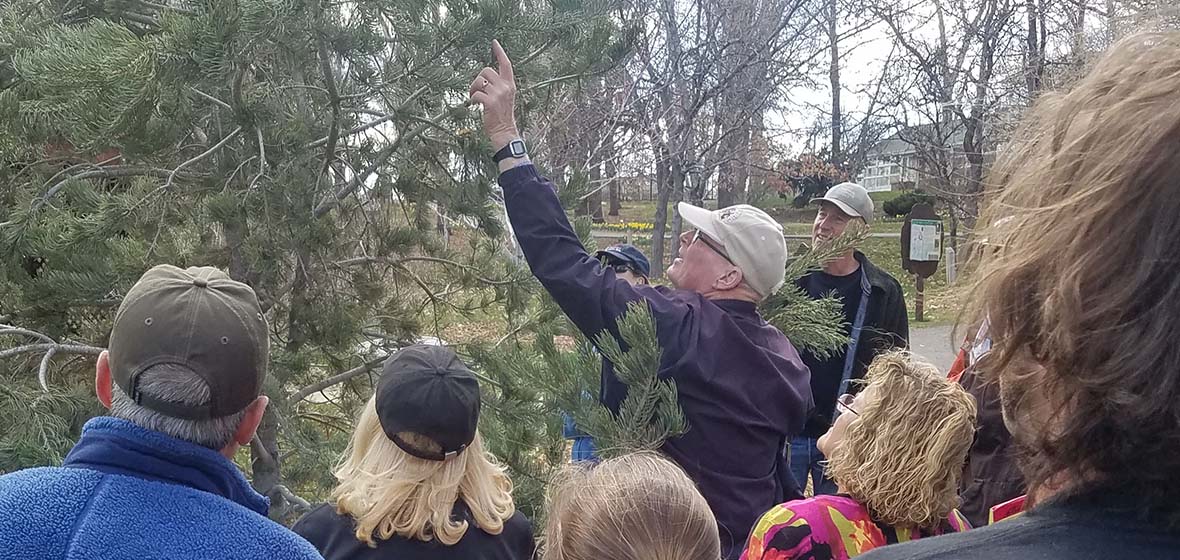 man pointing to a tree branch while teaching a group of people