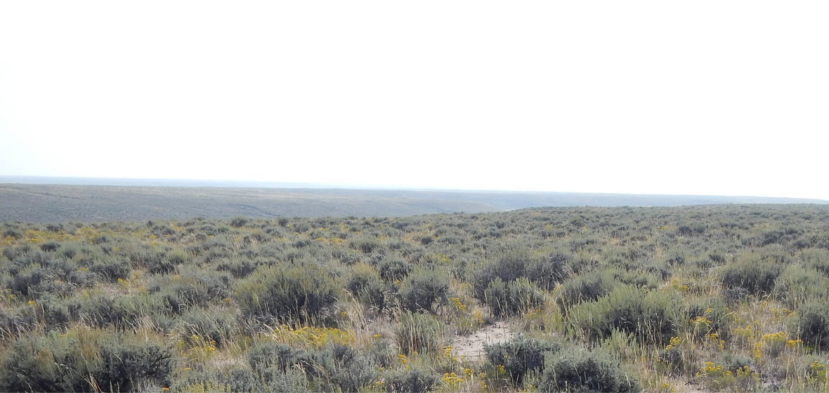 Landscape image of the Nevada desert