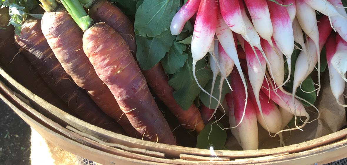 Basket full of vegetables.