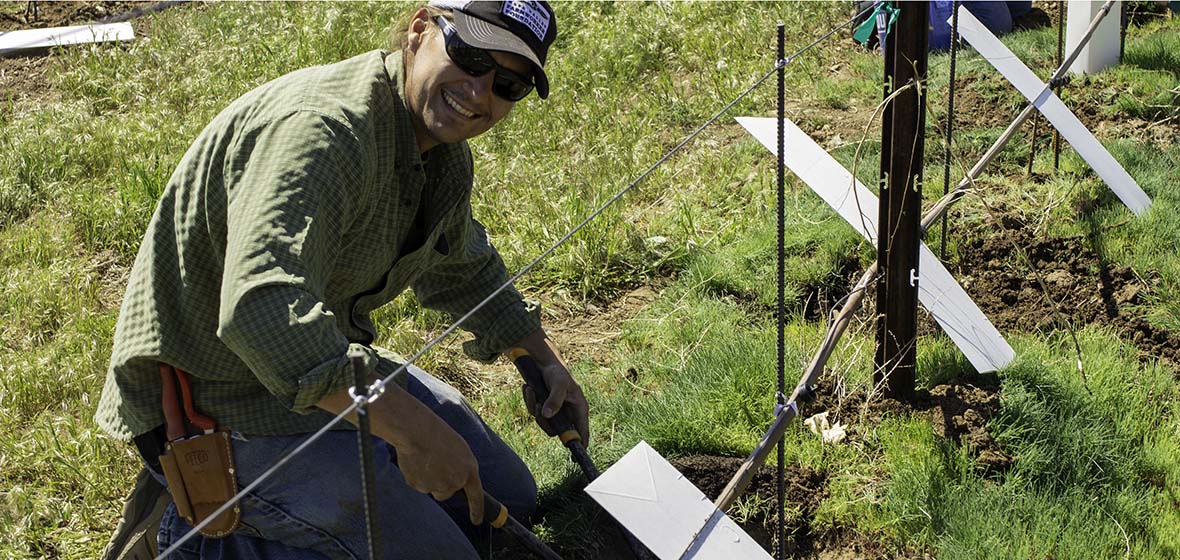 Charles Schembre Planting Grape Vines